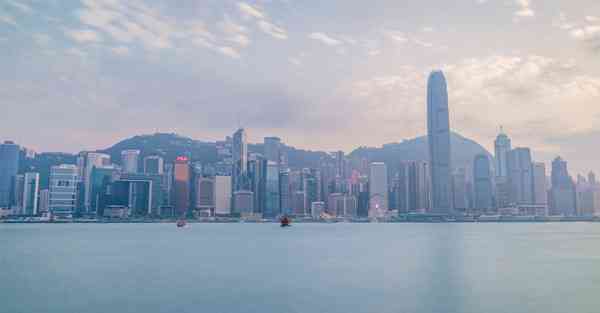 上外网的软件