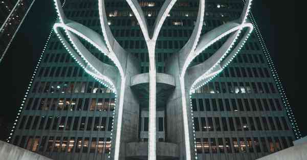萤火虫Firefly proxy