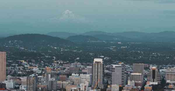 极速加速器安卓版下载